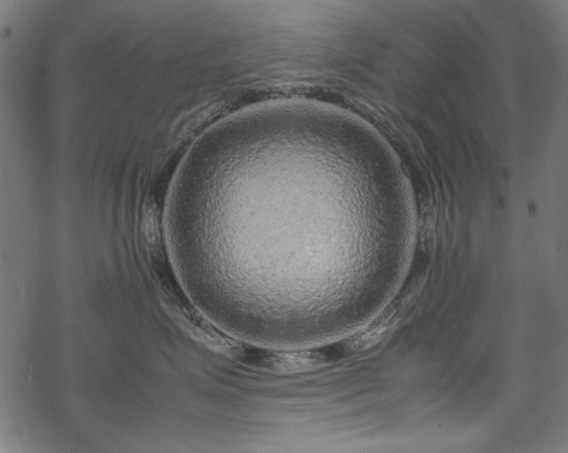 X0000070210623200605301404