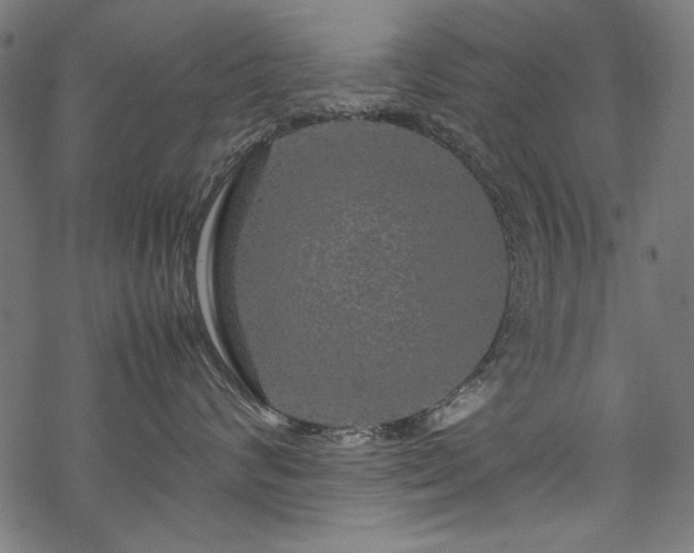 X0000070210624200605301404