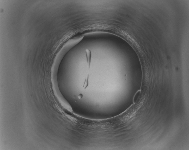 X0000070210625200605301403