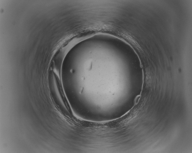 X0000070210626200605301403