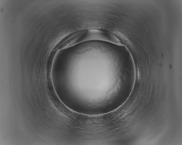 X0000070210627200605301403