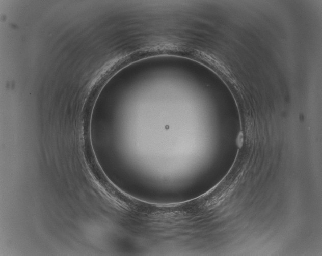 X0000070210629200605301403