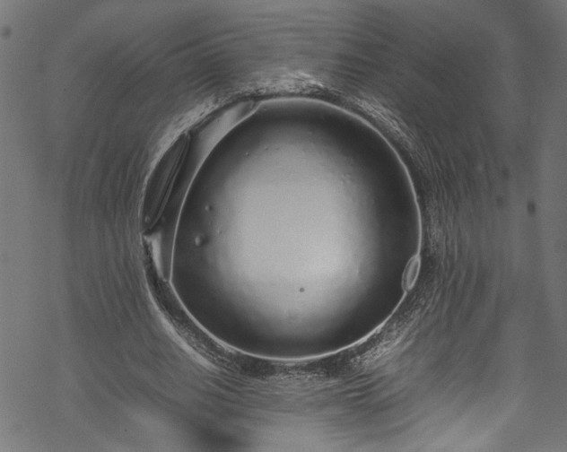 X0000070210630200605301403