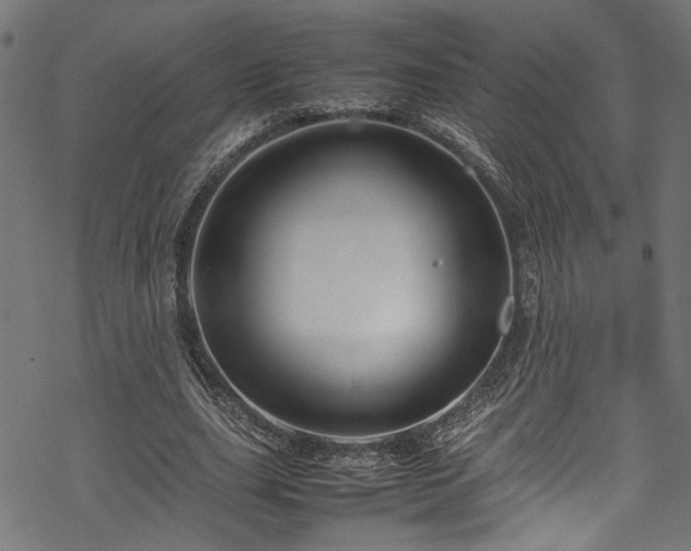 X0000070210631200605301403