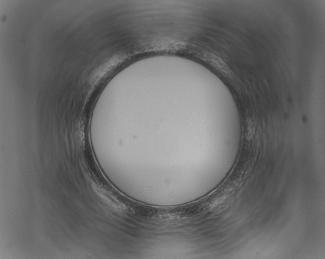 X0000070210632200605301403