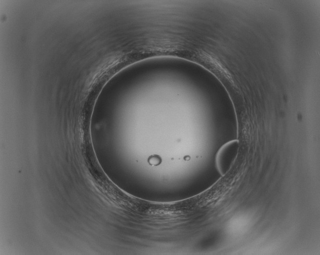 X0000070210635200605301403