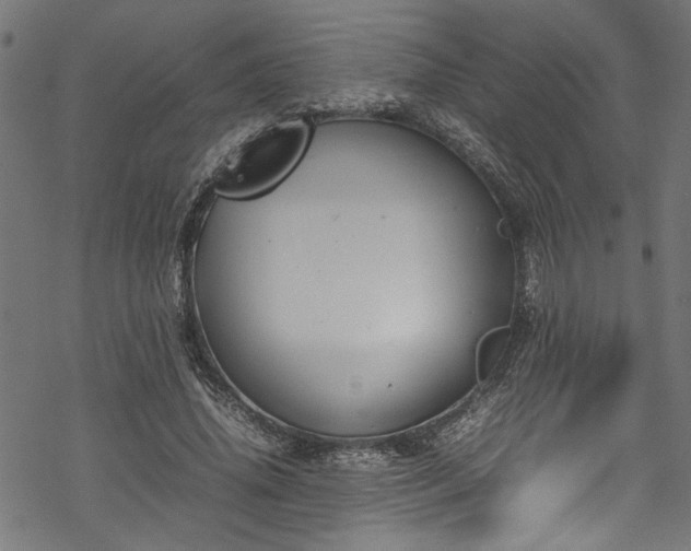 X0000070210636200605301403