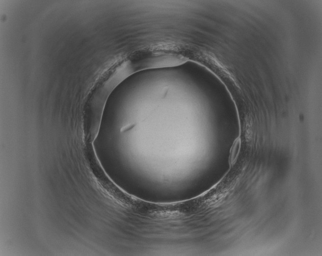 X0000070210637200605301403