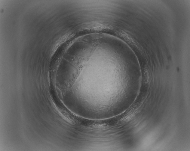 X0000070210638200605301403