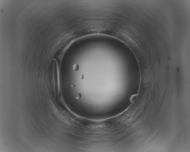 X0000070210639200605301403