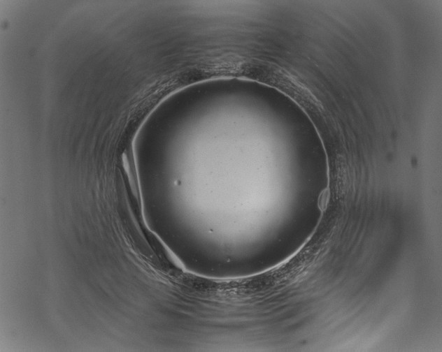 X0000070210641200605301403