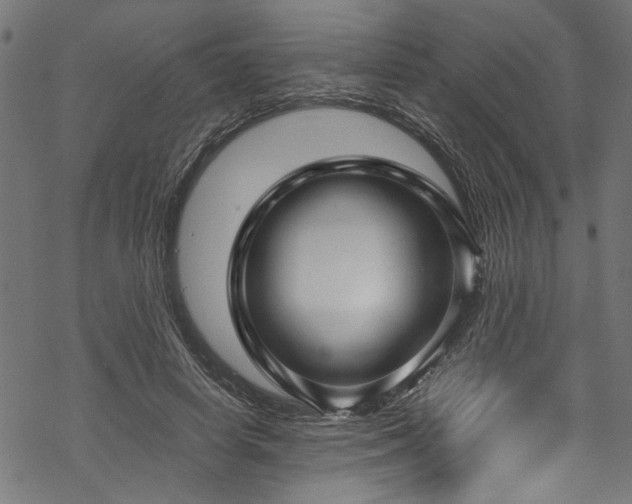 X0000070210642200605301403