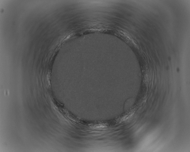 X0000070210643200605301403