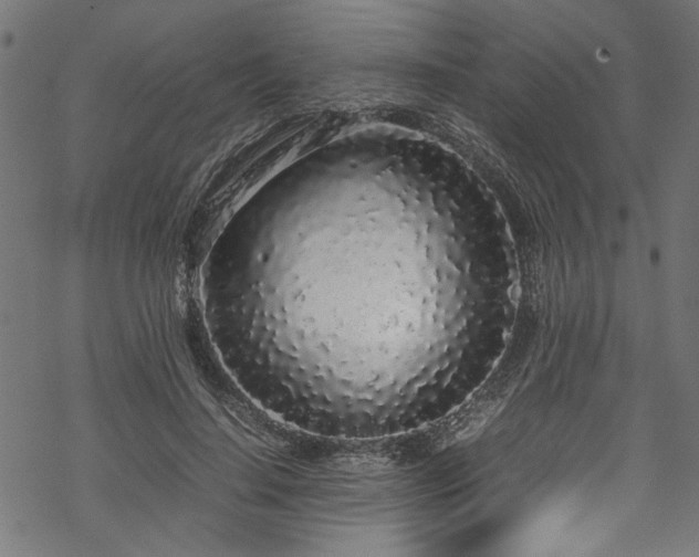 X0000070210644200605301403