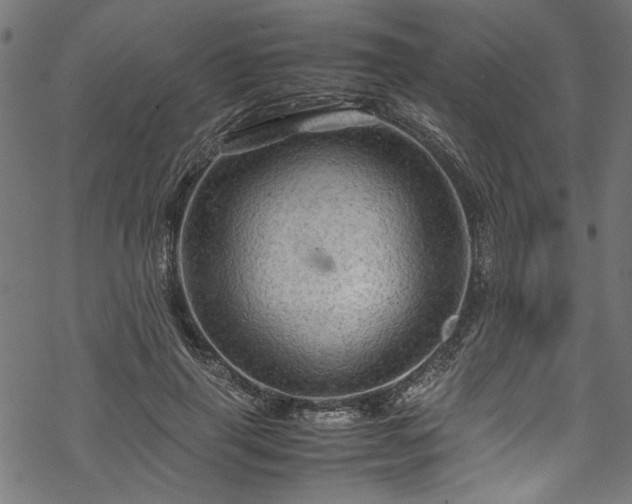 X0000070210645200605301403