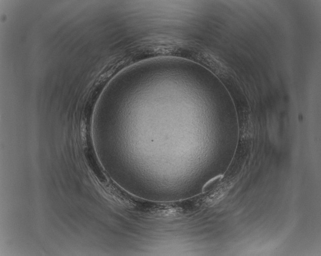 X0000070210646200605301403