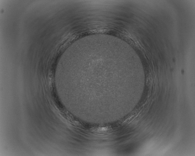 X0000070210647200605301403