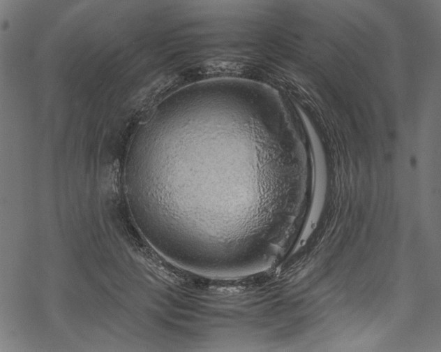 X0000070210649200605301403