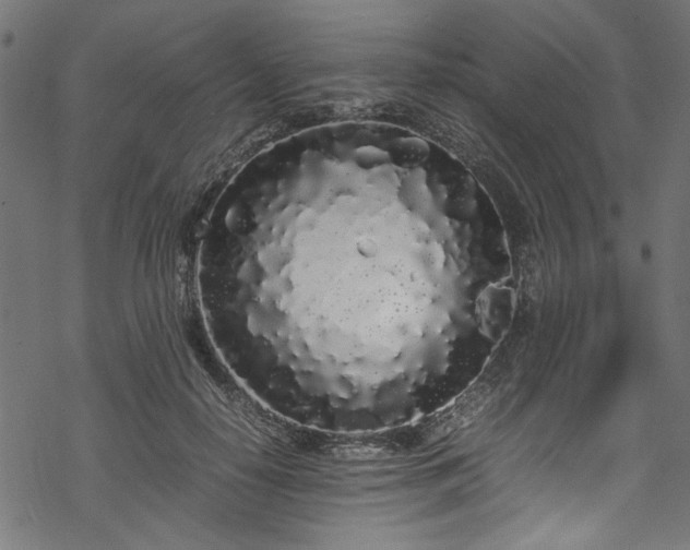 X0000070210650200605301403