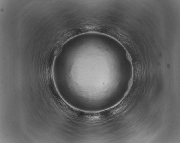 X0000070210651200605301403