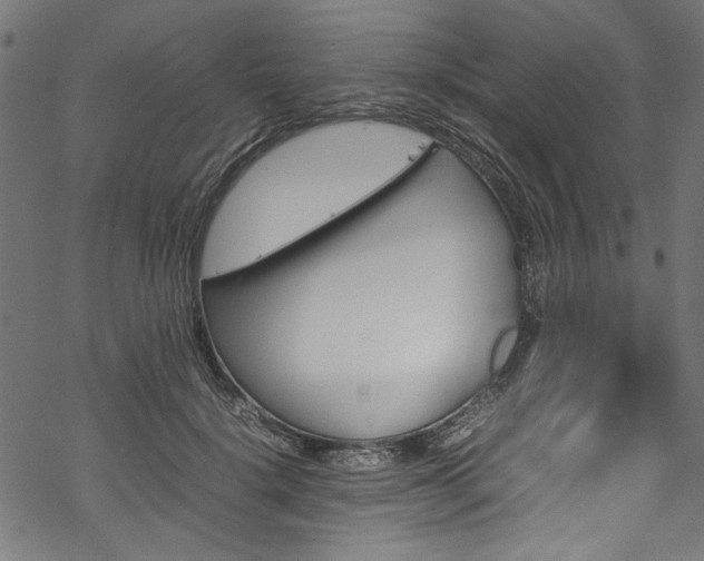 X0000070210652200605301403