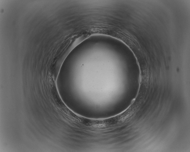 X0000070210653200605301403