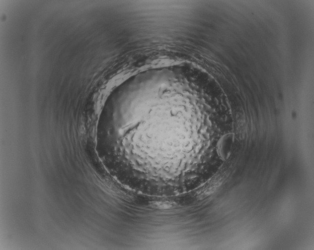 X0000070210654200605301403