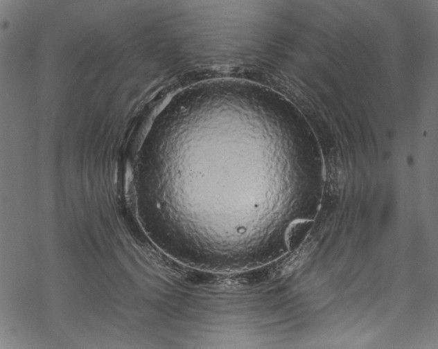 X0000070210656200605301404