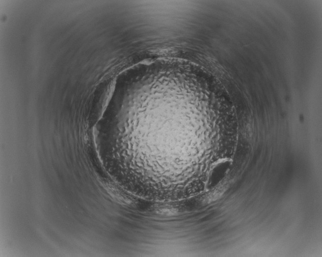 X0000070210658200605301404