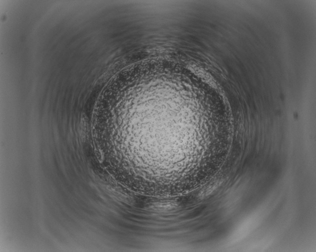 X0000070210659200605301404