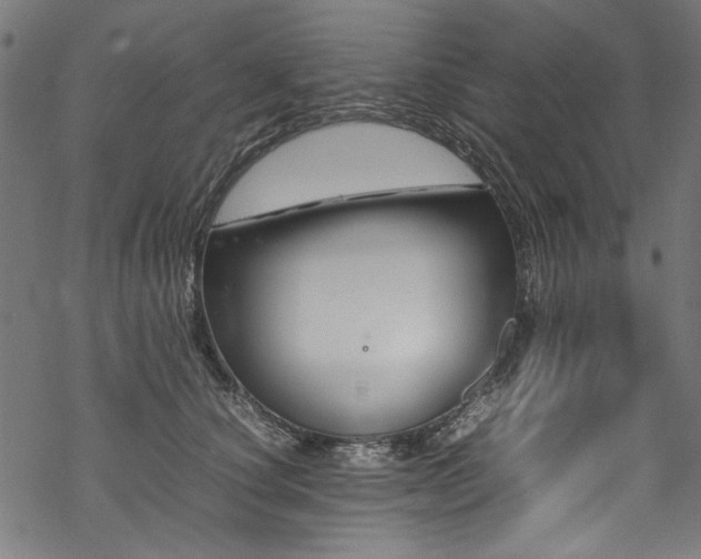 X0000070210660200605301404