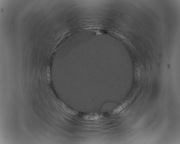 X0000070210661200605301404