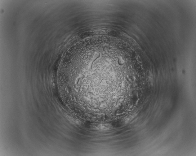 X0000070210663200605301404