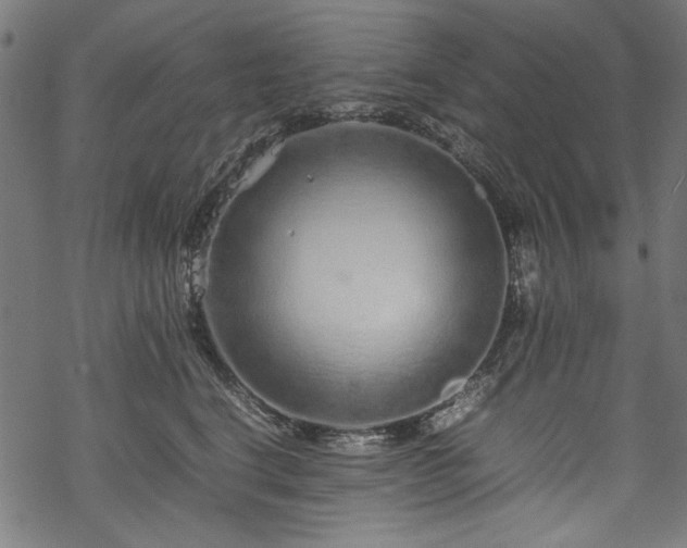 X0000070210664200605301404