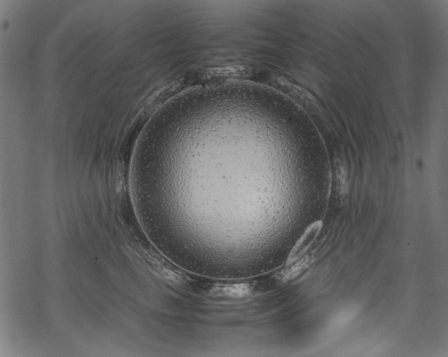 X0000070210665200605301404