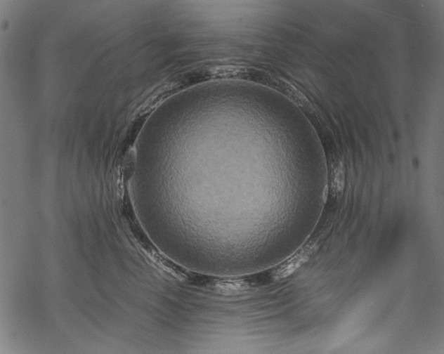 X0000070210666200605301404