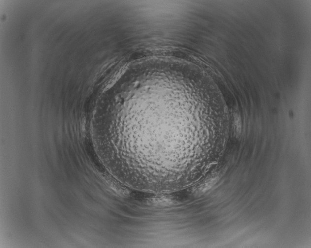 X0000070210668200605301404