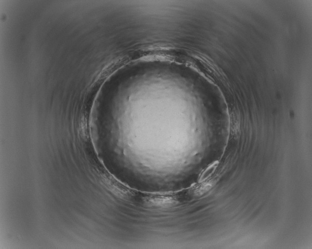 X0000070210669200605301404