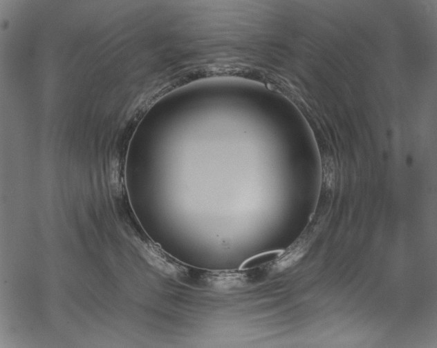 X0000070210670200605301404