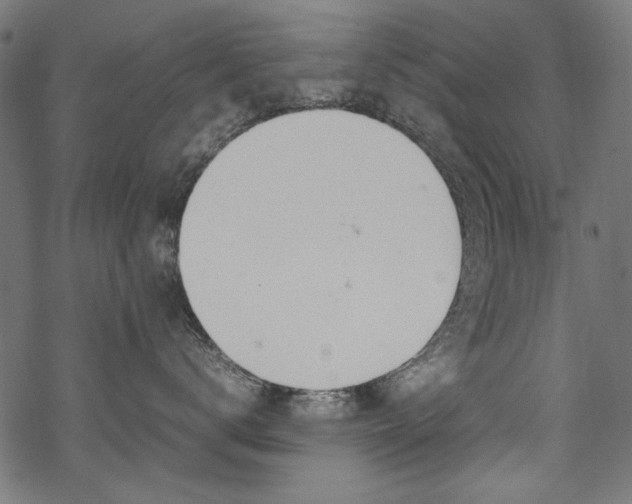 X0000070210672200605301404