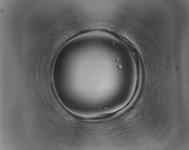 X0000070210673200605301403