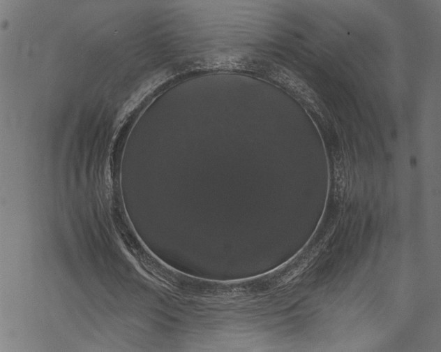 X0000070210674200605301403