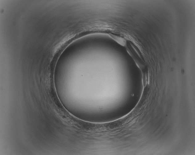 X0000070210675200605301403