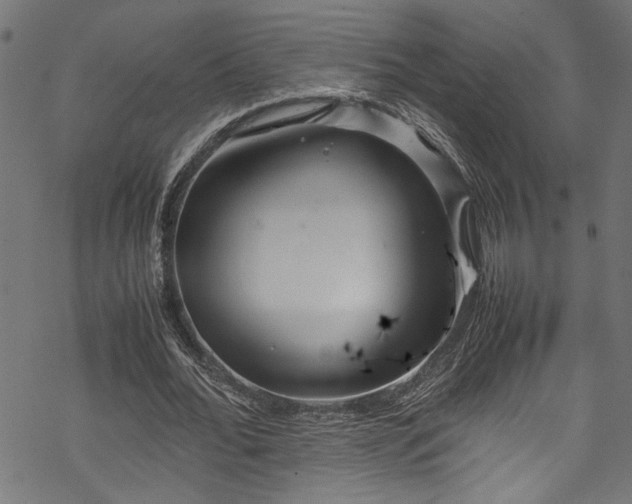 X0000070210676200605301403