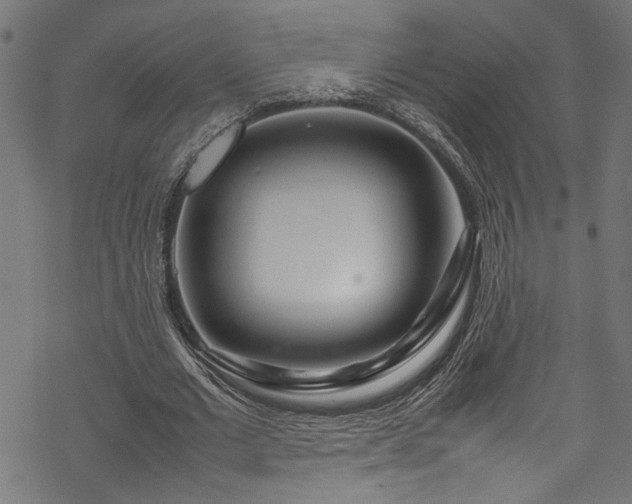 X0000070210677200605301403