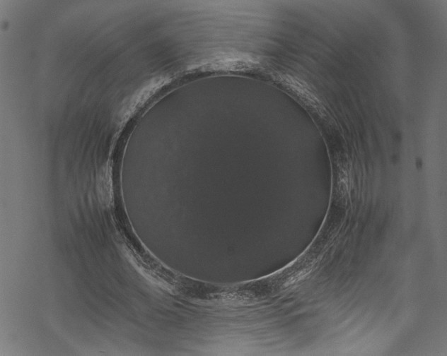 X0000070210678200605301403