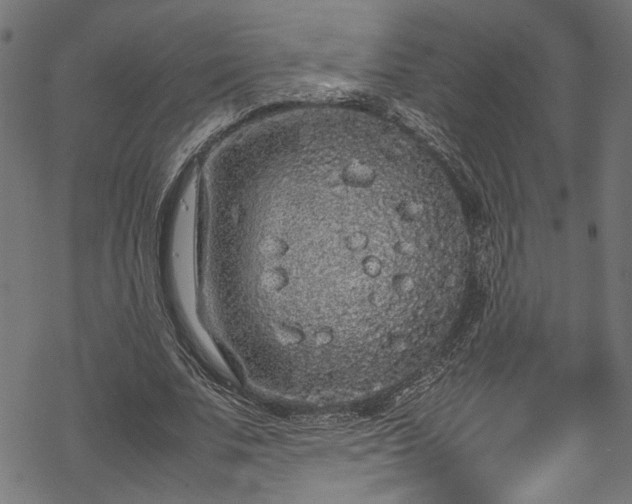 X0000070210679200605301403