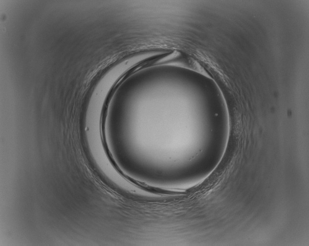 X0000070210681200605301403