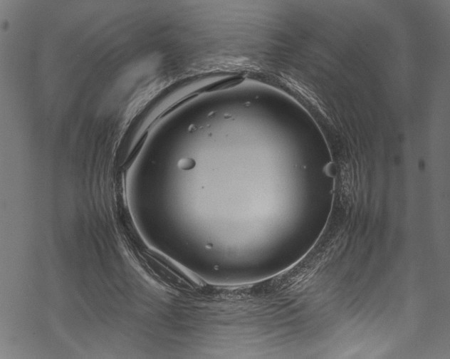 X0000070210682200605301403