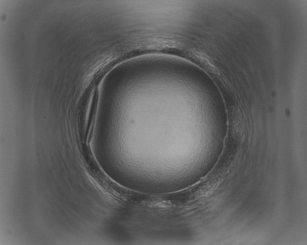 X0000070210683200605301403